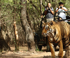 9 Days Golden Triangle India Tour Package with Ranthambore Tiger Safari