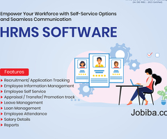 Affordable HR payroll systems for startups and growing companies
