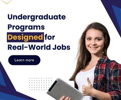 Undergraduate Programs Designed for Real-World Jobs