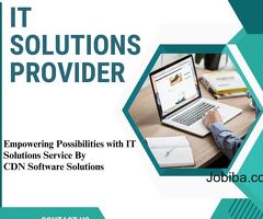 CDN Solutions Can Empower Tech Businesses with Their IT Solutions