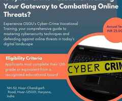 Is Cyber Crime Vocational Training Your Solution to Online Threats?