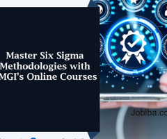 Master Six Sigma Methodologies with BMGI's Online Courses