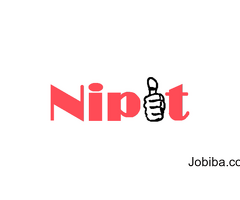 Nipit LLC