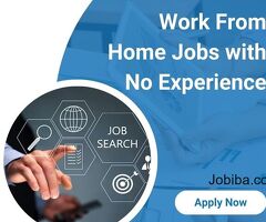 Work From Home Jobs no Experience