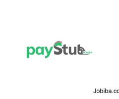Professional Salary Pay Stub Generator