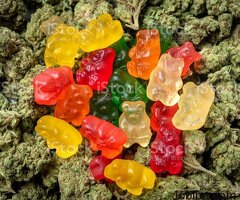Bioheal CBD Gummies Reviews