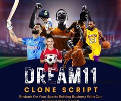Embark your sports betting business with Dream11 Clone Script