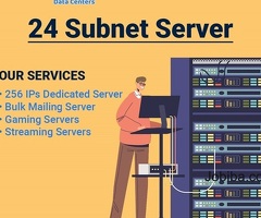 Next-Level Networking: Deploying a 24 Subnet Server for Ultimate Performance