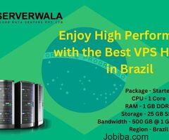 Enjoy High Performance with the Best VPS Hosting in Brazil