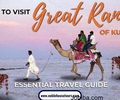 How To Visit Great Rann Of Kutch: Essential Travel Guide