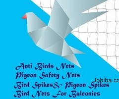 Best Anti Birds Nets in Chennai