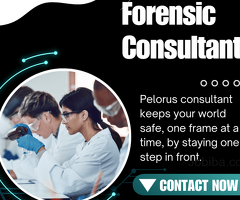 Pelorus | Forensic consultant
