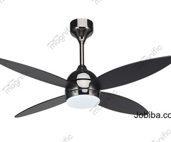 Explore the Style of Designer Fans with Lights at Magnific Home Appliances