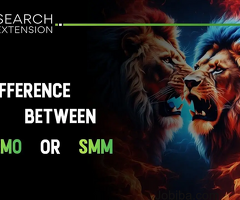 Do you know the difference between SMO and SMM?
