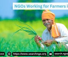Empowering the Land: NGOs Working for Farmers in India