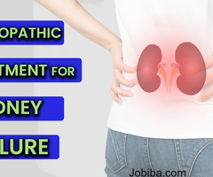Renewal in Homeopathy: Diagnostics and Treatment of the Kidney