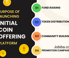 Create an ICO Platform to Raise Funds for Your Startup Business