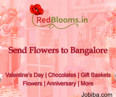 Send Flowers to Bangalore: Experience Hassle-Free Online Delivery with RedBlooms