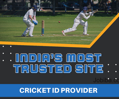 Unlock Your Online Cricket Experience with Cricket ID