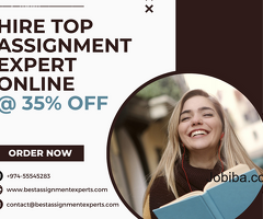 Hire The Best Assignment Experts Online