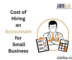 Cost of Hiring an Accountant for Small Business
