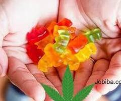 Dr OZ CBD Gummies Reviews MUST READ Benefits & Side Effects | Where to buy?