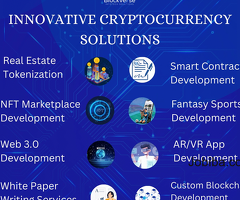 Innovative Cryptocurrency Solutions Leading the Digital Revolution