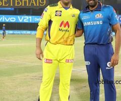 Betbhai9 is the best Cricket Betting ID provider for Online betting in  IPL matches