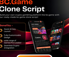 Build Your Own Profitable Betting Site like BC.Game with Clone Script