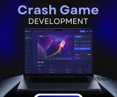 Customized Crash Game Development Tailored to Your Vision