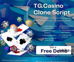 Start Your Online Casino Today: TGCasino Clone Script Available