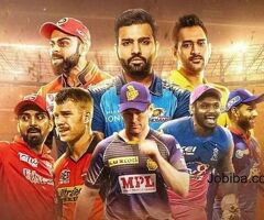 betbhai9 is India's top Online Cricket Betting ID