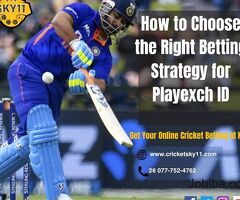 How to Choose the Right Betting Strategy for Playexch ID