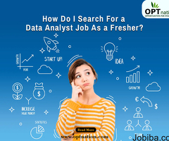 How Do I Search For A Data Analyst Job As A Fresher?