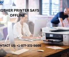 +1-877-372-5666 | Brother Printer Says Offline | Brother Printer Support