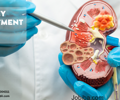 Comprehensive Kidney Treatment Solutions in India