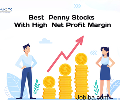 Best Penny Stocks With High Net Profit Margin
