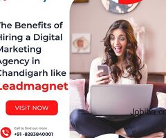 The Benefits of Hiring a Digital Marketing Agency in Chandigarh like Leadmagnet