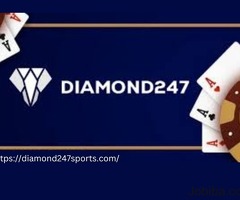 Diamond247Sports: The Premier Platform for Online Betting