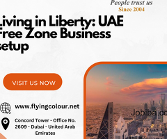 Living in Liberty: UAE Free Zone Business setup