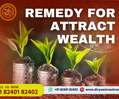 Get Powerful Remedies for Attracting Wealth in Your Life