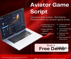 Aviator Game Script: Launch Your Own Lucrative Betting Game!