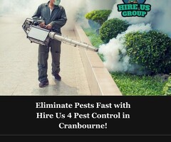 Eliminate Pests Fast with Hire Us 4 Pest Control in Cranbourne!