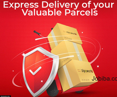 Get your parcel delivered at early with Zipaworld’s Express delivery