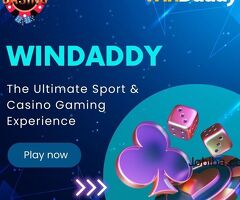 Score Big with Windaddy: Your Ultimate Cricket Gaming Destination   winndaddy.in