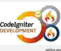 Codeigniter Development Services in USA