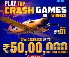 Aviator Free Game: Fly High with WinExch!