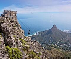 south africa tours from cape town | Ingwe Africa Safaris