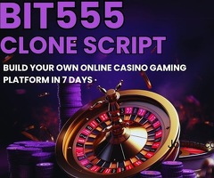 Dominate the casino gaming market with our bit555 casino clone script