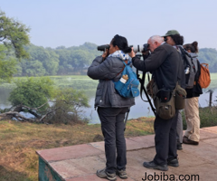 One Day Trip Near Delhi | Birding In Sultanpur
